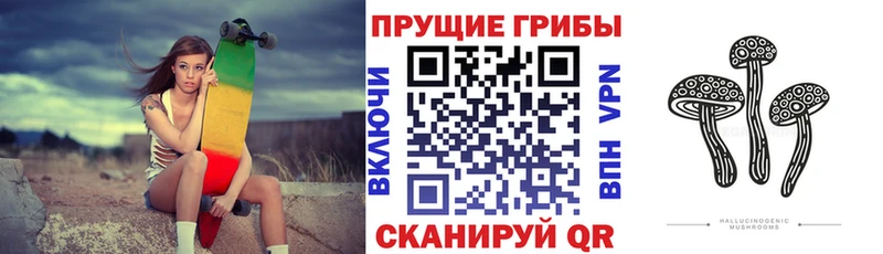 где найти   Вольск  Псилоцибиновые грибы мухоморы 